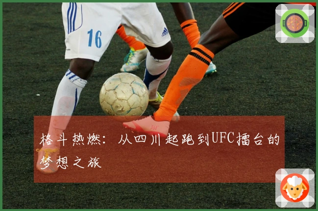 格斗热燃：从四川起跑到UFC擂台的梦想之旅